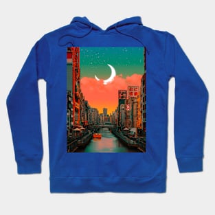 Low Night Hoodie